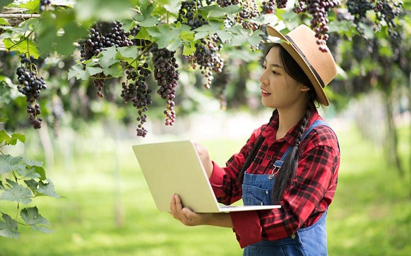 The Western Connect Magazine - AI Reshaping Vineyards The Future of Wine-Making